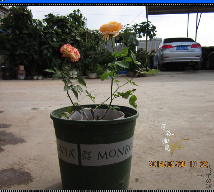 QQͼƬ20140926110532.jpg