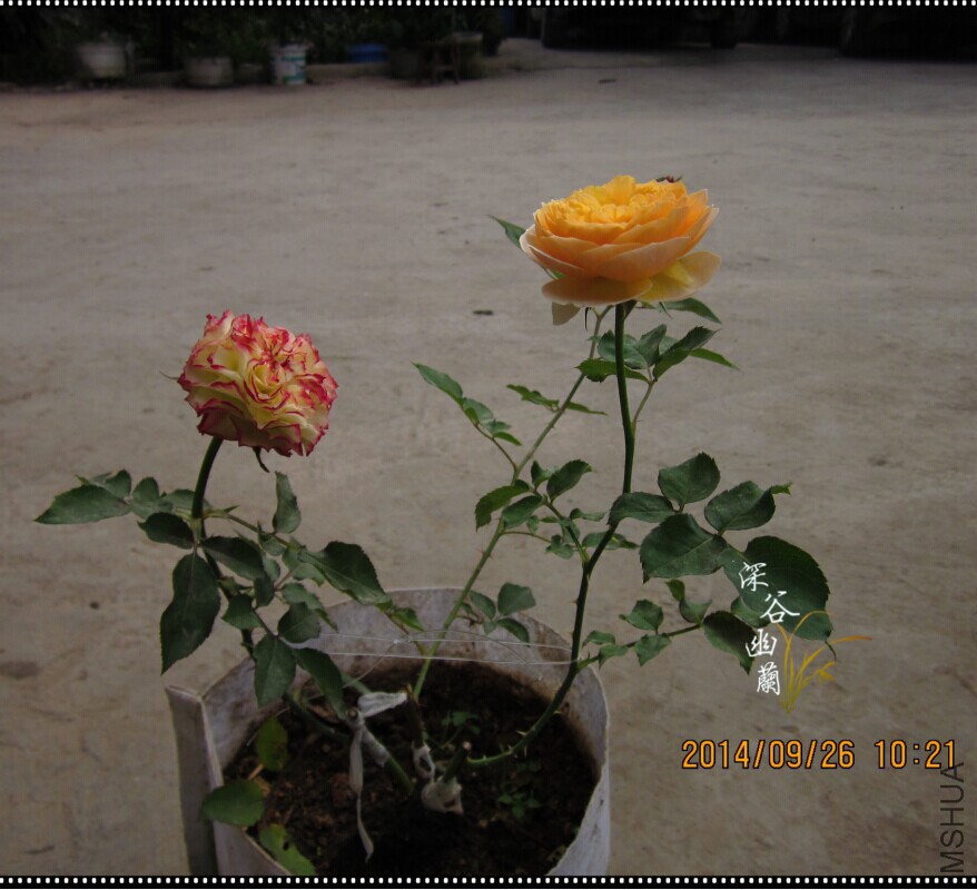 QQͼƬ20140926110452.jpg