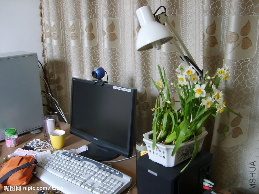 2008325161455370_2.jpg