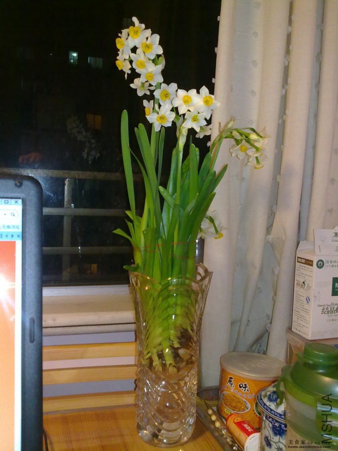 2010090115340430461.jpg