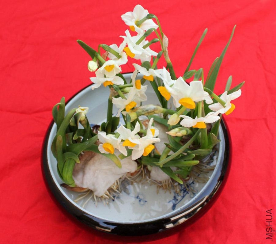 2012022013451345349.jpg