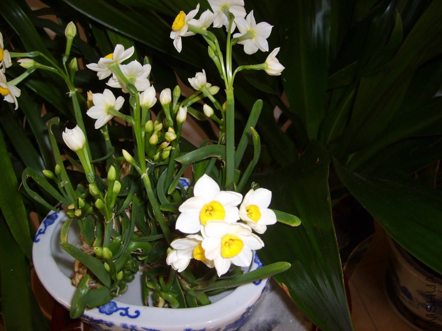 S6000718.jpg