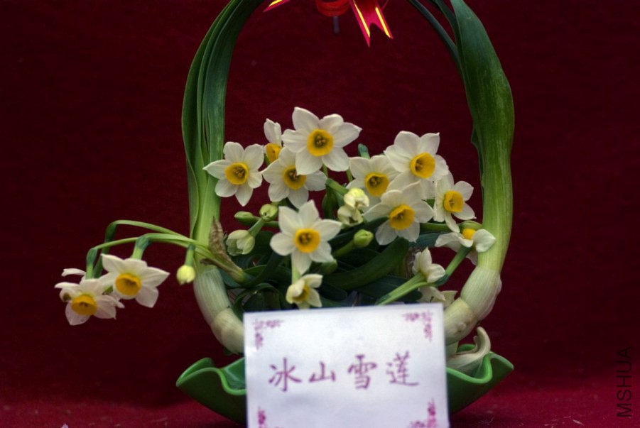 userid250353time20100203122916.jpg