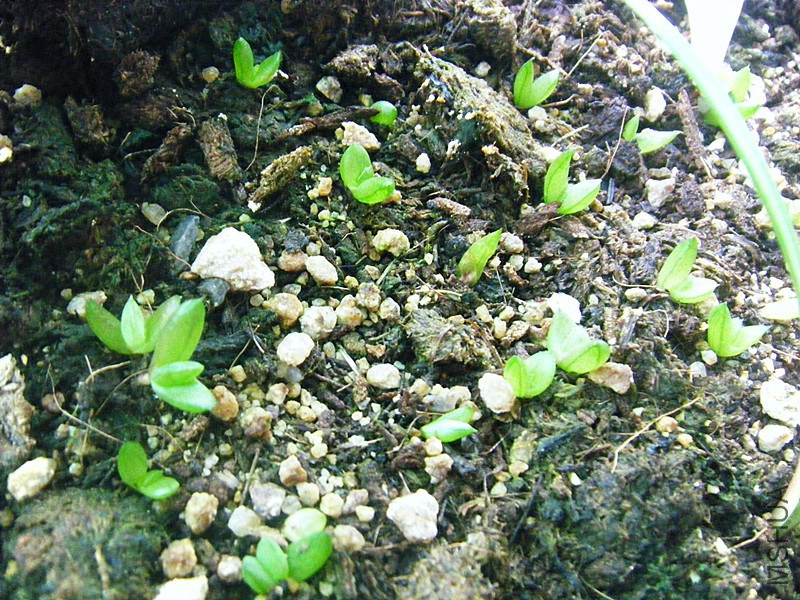 DSCF9927_����.jpg