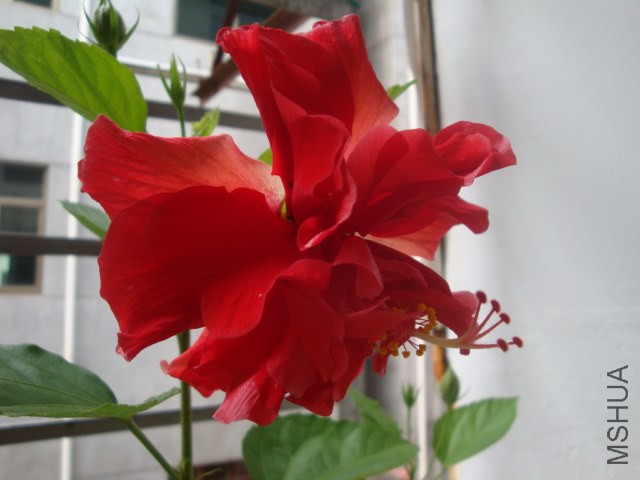 DSC05855.JPG