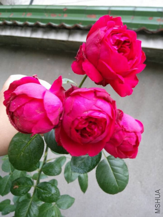QQͼƬ20140927095120.jpg