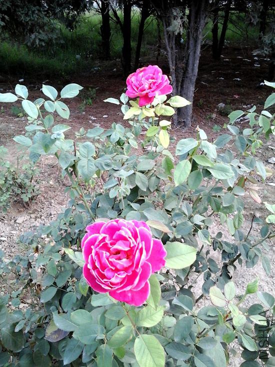 20140924_165803.jpg