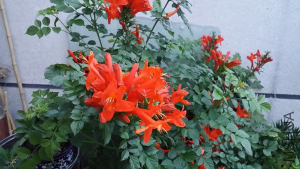 20140927_180449.jpg