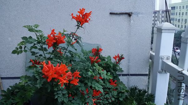 20140927_180700.jpg