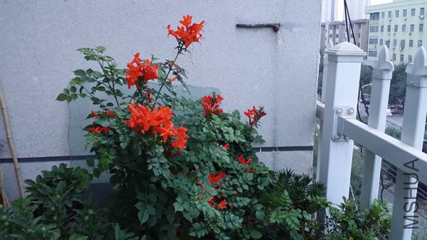 20140927_180736.jpg