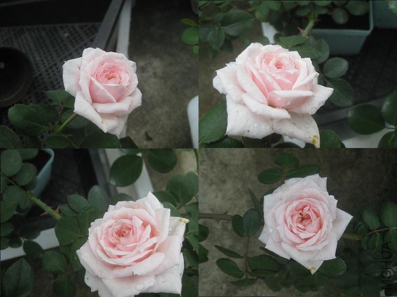 �ҹ���.JPG
