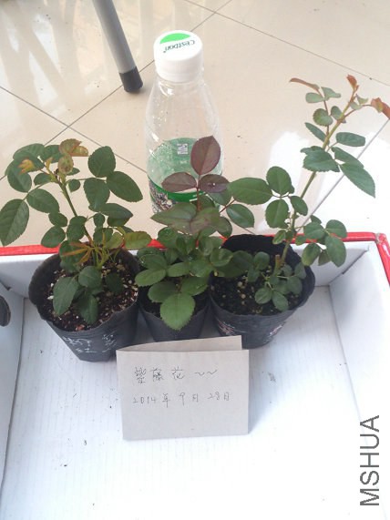 �ۺ츴��20�ȿ�12�����18