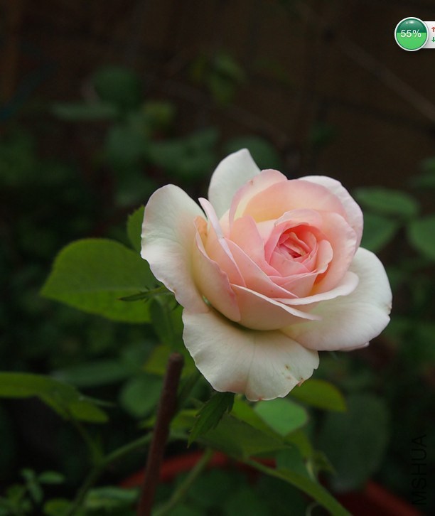 QQͼƬ20140928094051.jpg