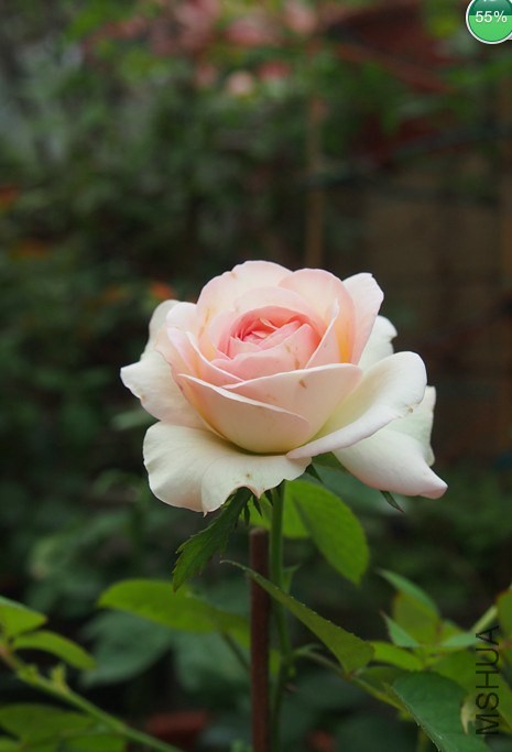 QQͼƬ20140928094035.jpg