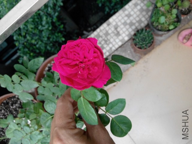 ���㣬�������Ƚϰ�