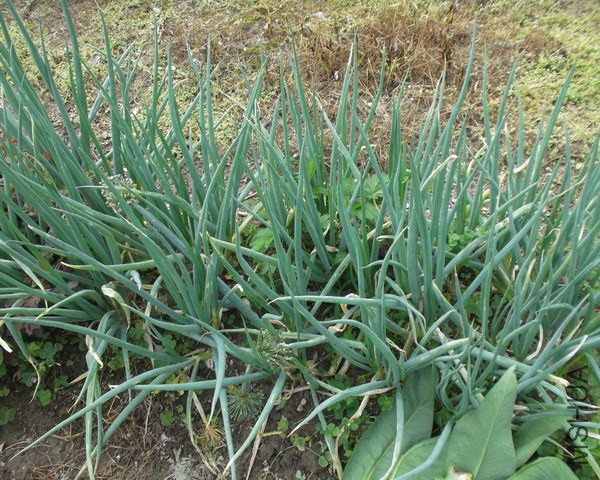 ���m�����������[