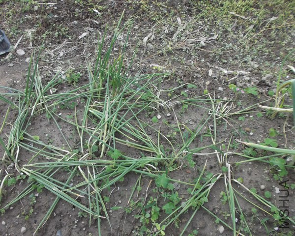 С�t�[Ҫ������