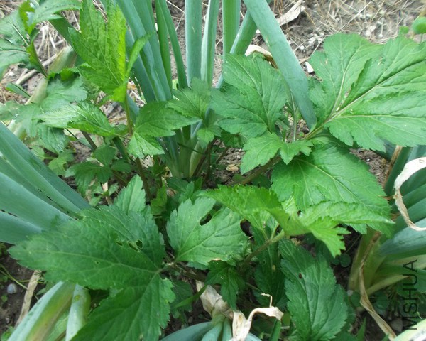 ���~�󵰻���