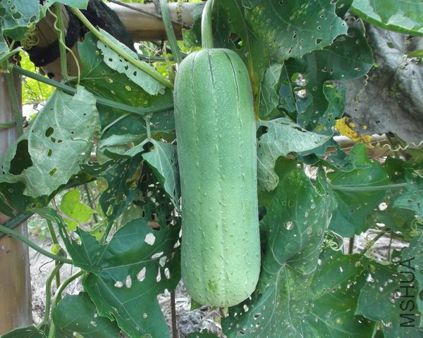 ��һ�l�ϵ�ϲ��