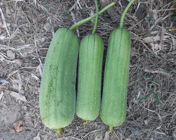 �����l��