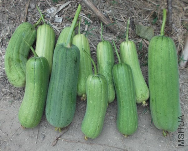 �찢..��Ҫ��Ӛ�������ӎ�æ����