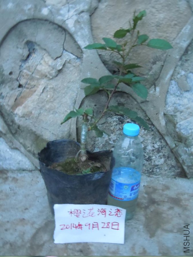 �޽�ʵ��.jpg