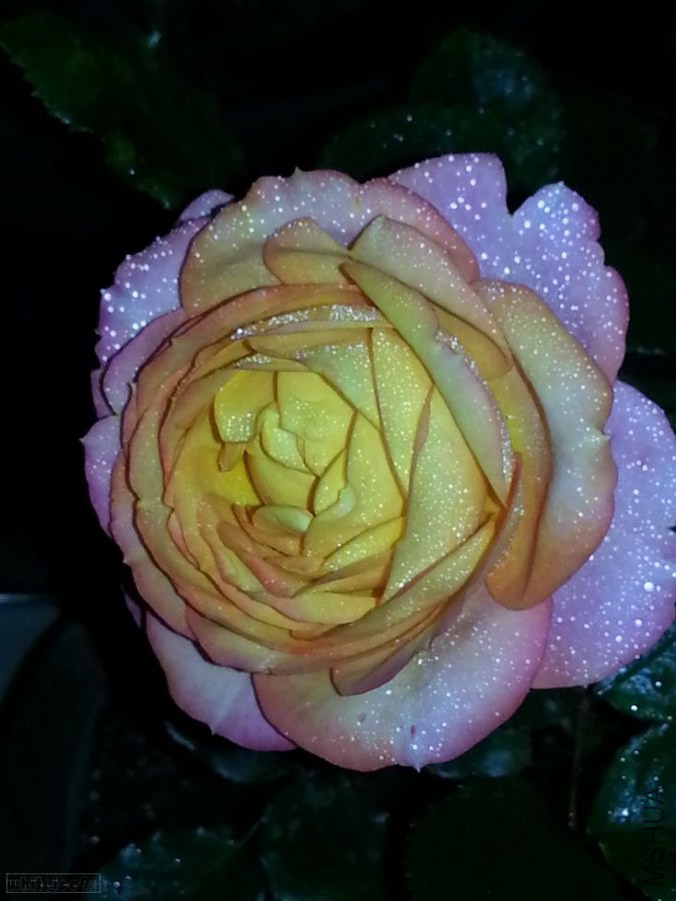 20140516_1912201.jpg
