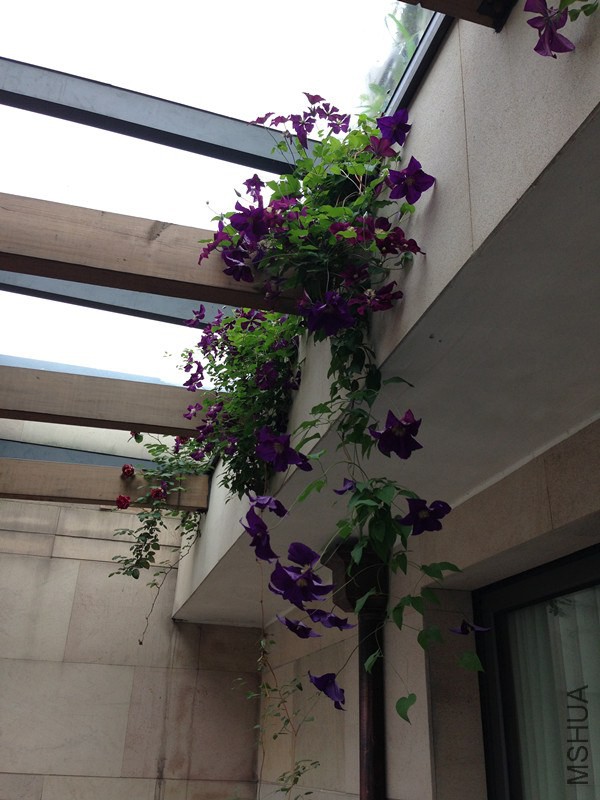 2012 084_����.jpg