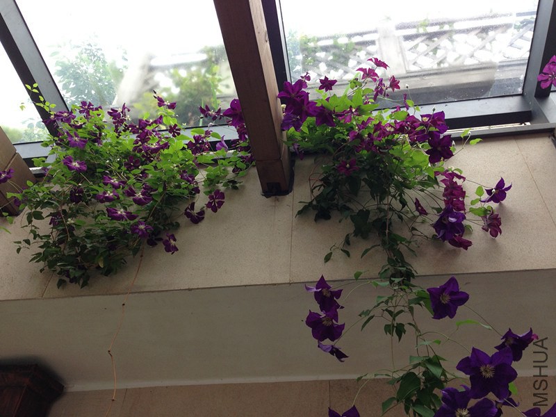 2012 086_����.jpg