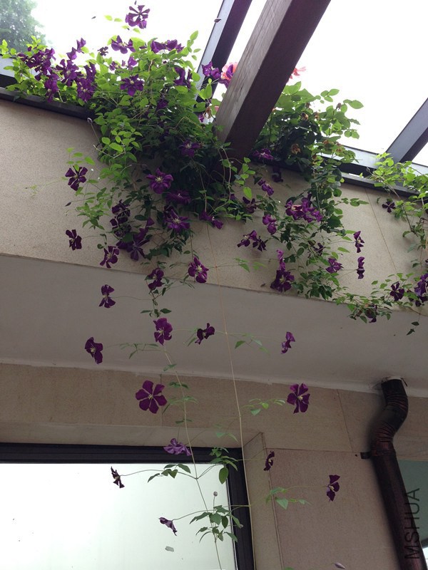 2012 087_����.jpg