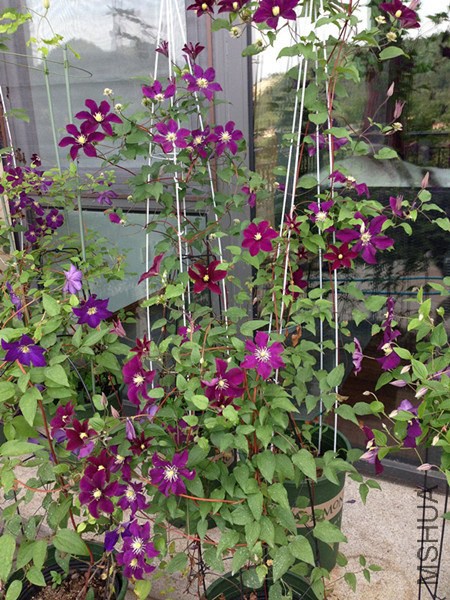 2012 109_����_����.jpg