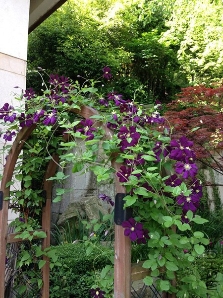 2012 106_����_����.jpg