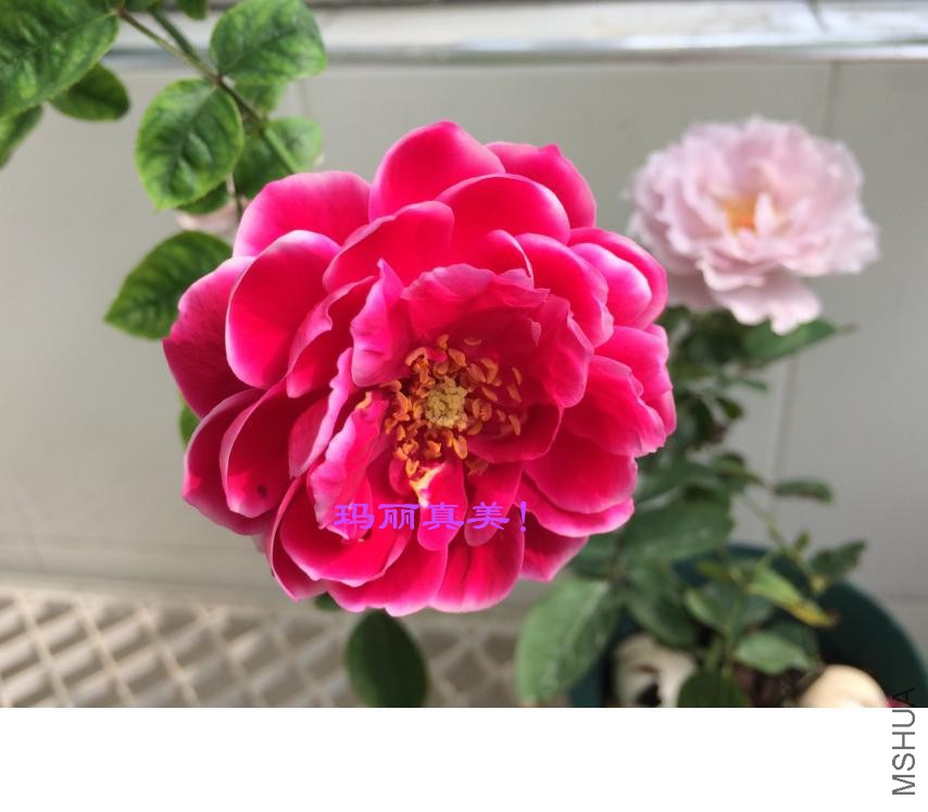 ����õ��2014-09-28_����.jpg