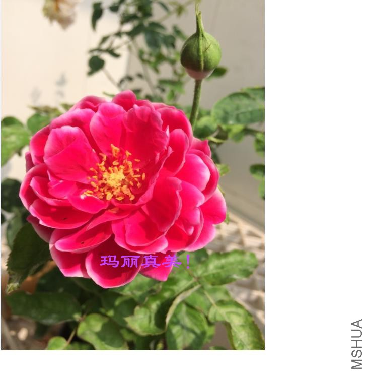 ����õ��2014-09-28-1_����.jpg