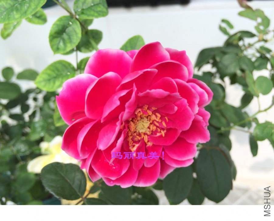 ����õ��2014-09-28-2_����.jpg
