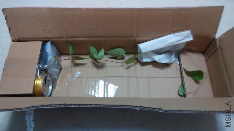 ��װ��ʮ�ֺã�С���������