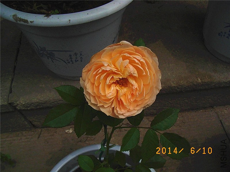 ���˹����