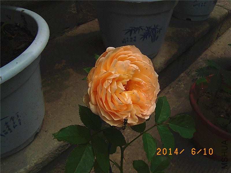 ���˹����