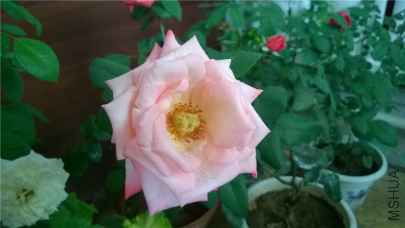 ����1 (1).jpg