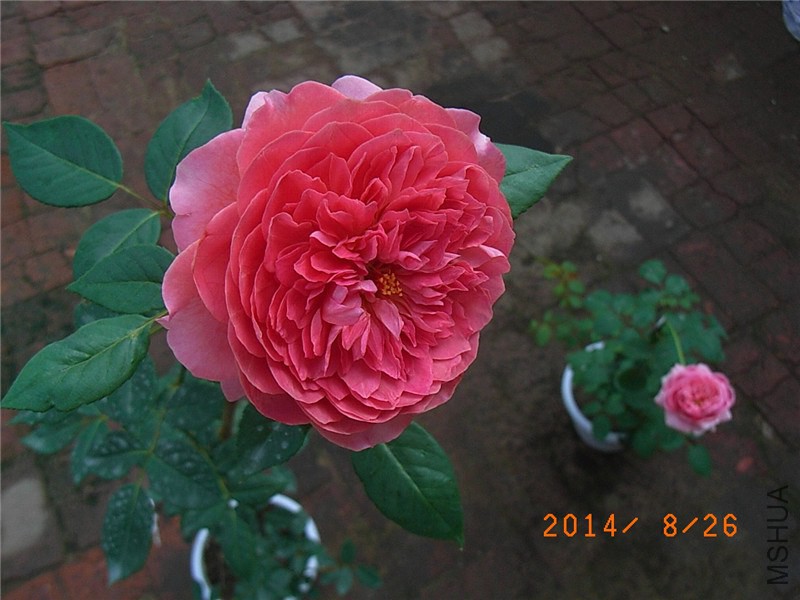 �������