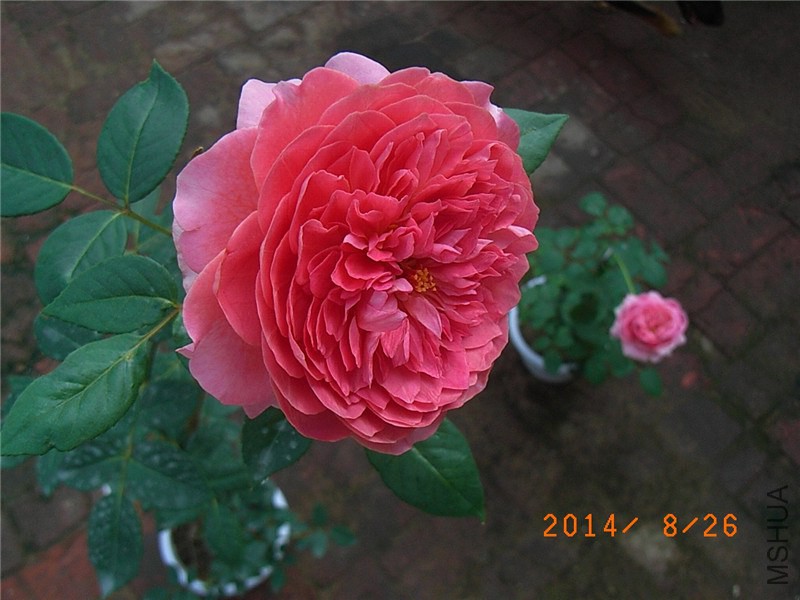 �������