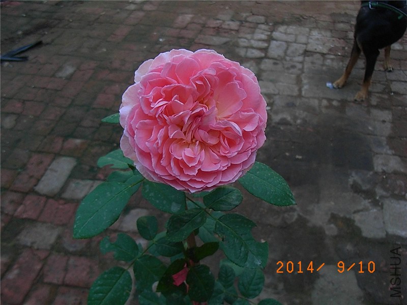 �㲥ʱ�� (1).JPG