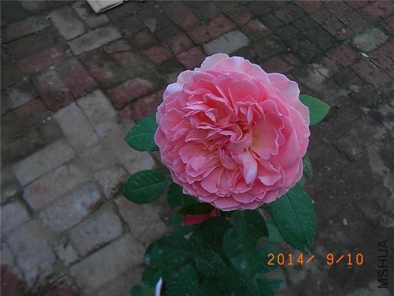 �㲥ʱ�� (2).JPG