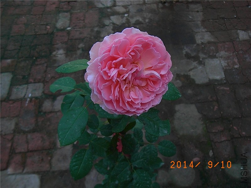 �㲥ʱ�� (3).JPG