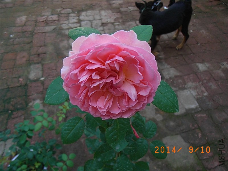 �㲥ʱ�� (5).JPG