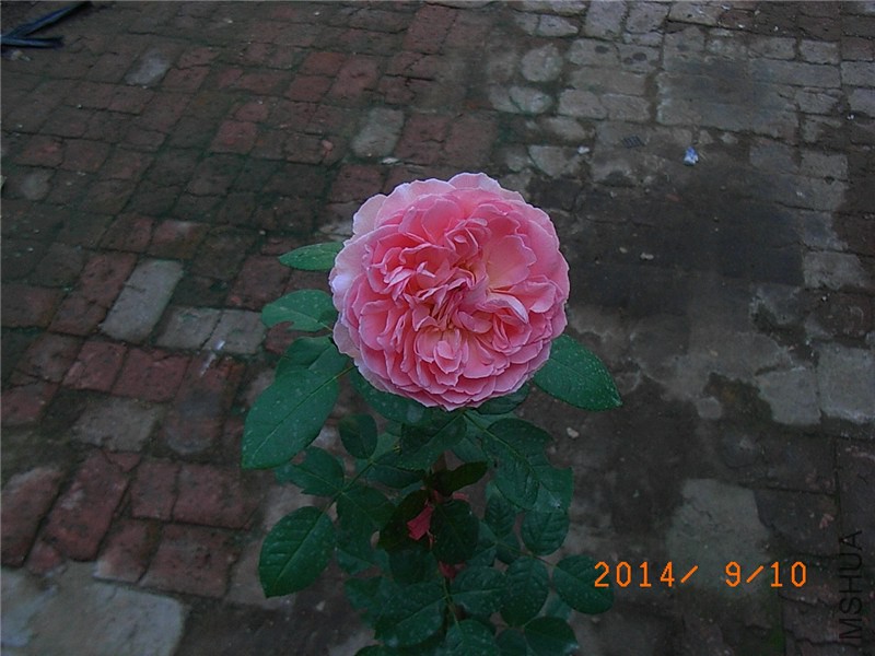 �㲥ʱ�� (7).JPG