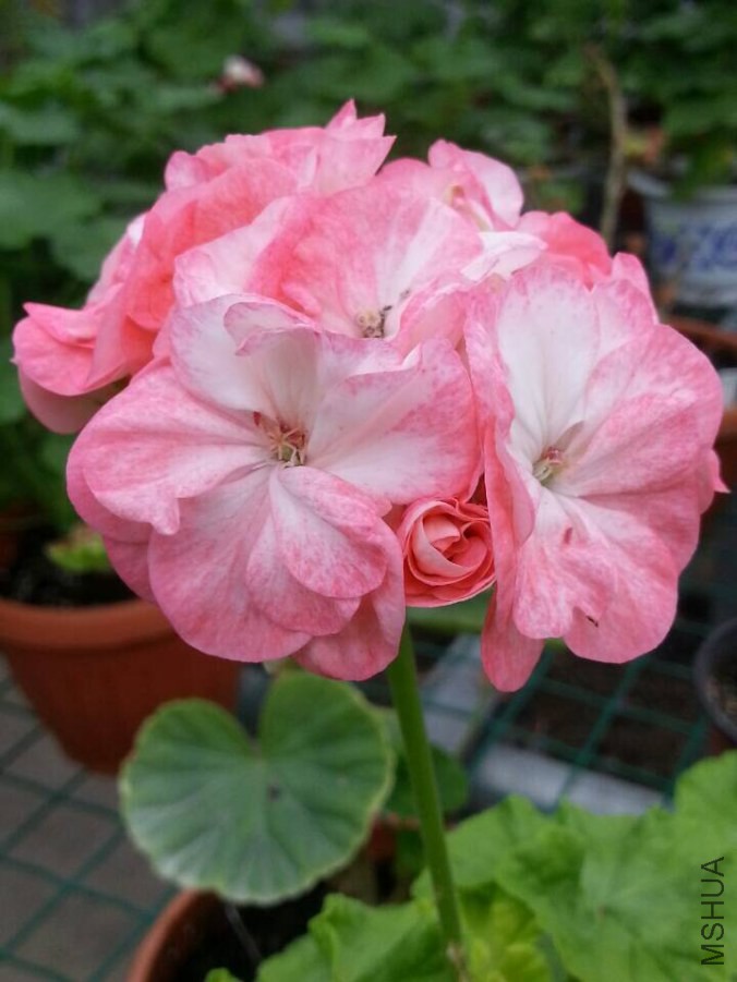 QQͼƬ20140929194405.jpg