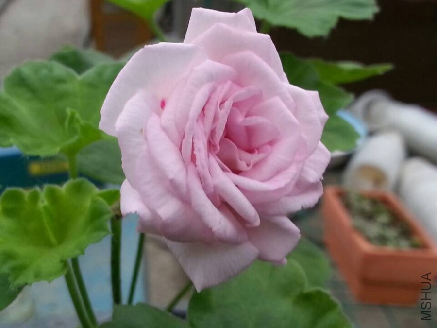 QQͼƬ20140929194401.jpg