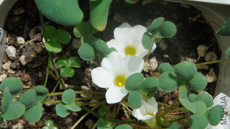 nEO_IMG_DSC03210.jpg