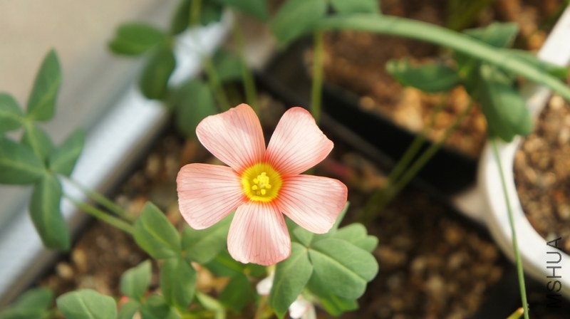 nEO_IMG_DSC01257.jpg